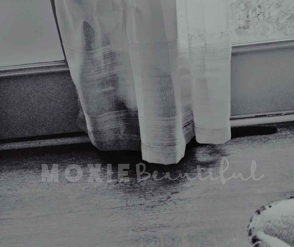 Moxie Shorts 37