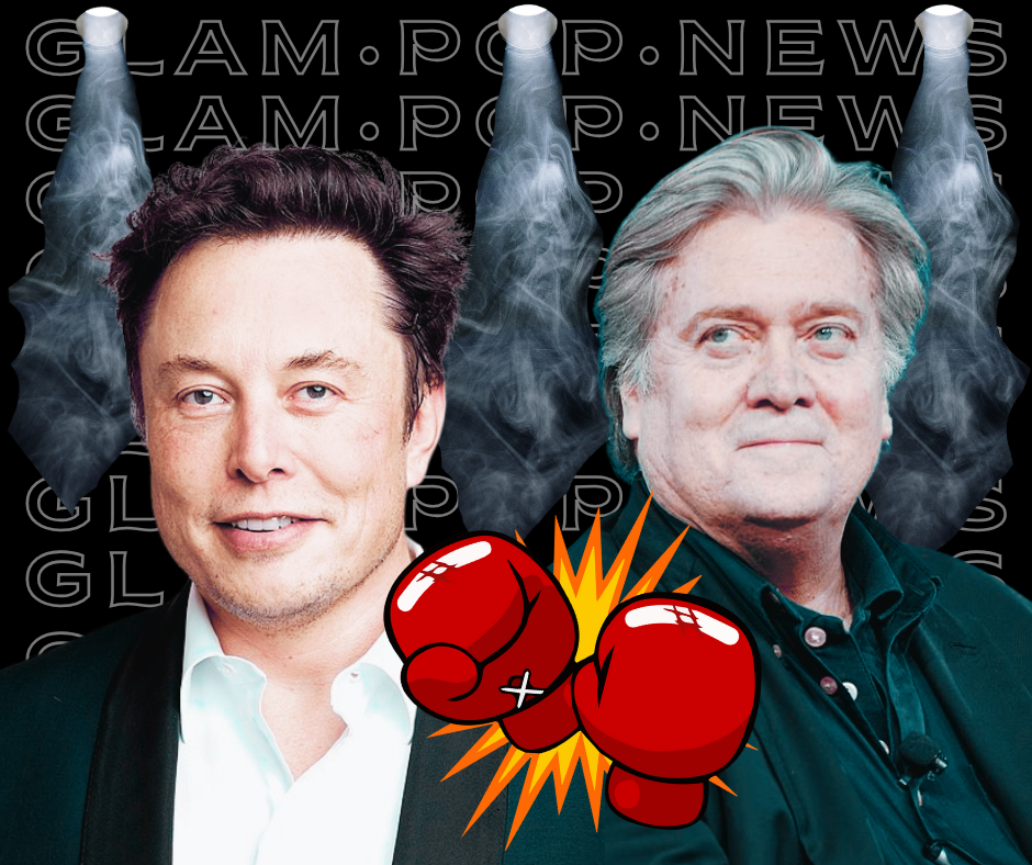 Steve Bannon Vs Elon Musk